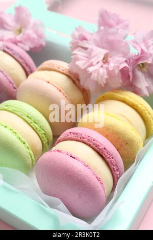 Viele köstliche bunte Makronen in der Schachtel und Blumen auf pinkfarbenem Hintergrund, Nahaufnahme Stockfoto