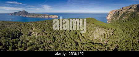 Cala en Basset Pinienwald und Insel Dragonera, Andratx, Mallorca, Balearen, Spanien. Stockfoto