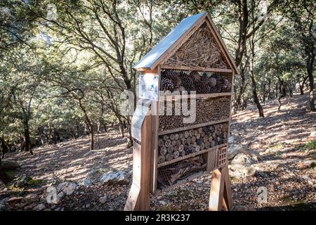 Insektenkasten, Son Moragues Wald, Valldemossa, Mallorca, Balearen, Spanien. Stockfoto