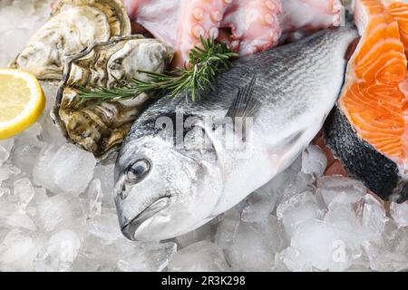 Frischer dorado-Fisch, Lachs, Tintenfisch und Austern auf Eis, Nahaufnahme Stockfoto