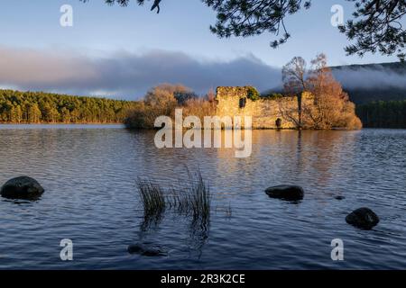 Castillo del siglo XIII, Loch ein Eilein, Parque Nacional de Cairngorms, Highlands, Escocia, Reino Unido. Stockfoto