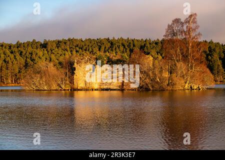 Castillo del siglo XIII, Loch ein Eilein, Parque Nacional de Cairngorms, Highlands, Escocia, Reino Unido. Stockfoto