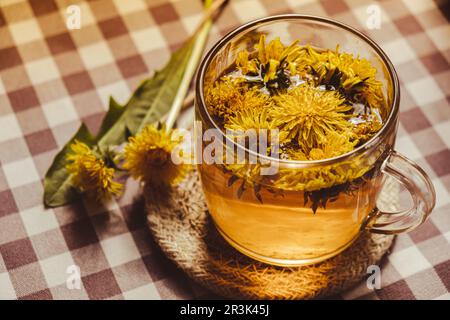 Löwenzahnblüte gesunder Tee im Glasbecher auf dem Tisch. Kräutermedizin köstlicher Tisane-Tee mit frischem gelben Blütendandelio Stockfoto