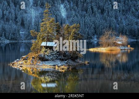 Insel Eibsee mit kleiner Hütte im Winter mit Schnee, zugspitze, bayern Stockfoto