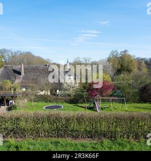 kirche und altes Haus mit Strohdach vom Deich rund um den Fluss waal im holländischen Frühling aus gesehen Stockfoto