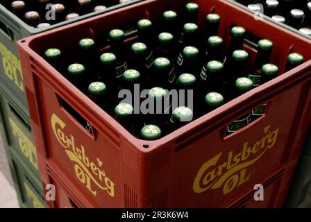 23. Mai 2023/Dänisches carlsberg-Bier in der Flasche rufen HOF und die berühmtesten dänischen Bodega-Bars in Kopenhagemn Dänemark. (Foto: Francis Joseph Dean/Dean Pictures) Stockfoto