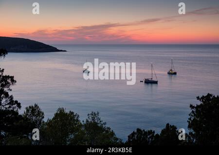 veleros fondeados frente a Cala Xarraca, Ibiza, balearen, Spanien. Stockfoto