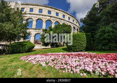 anfiteatro de Pula, Pula, Peninsula de Istria, Croacia, europa. Stockfoto