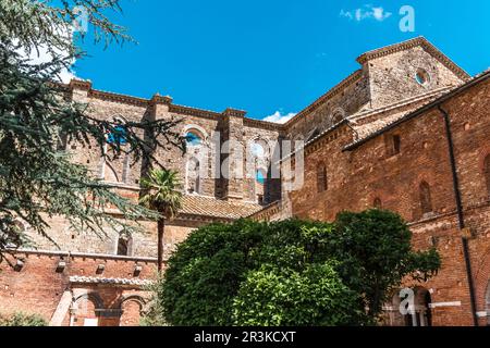 Ruinen einer alten, dachlosen Abtei in der Toskana. San Galgano Stockfoto