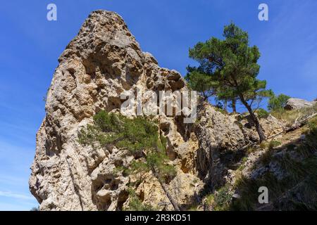 Felsspur im Pass von Cala Ferrera, Soller, Mallorca, Balearen, Spanien. Stockfoto