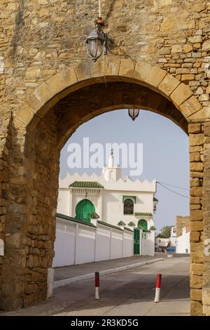 Bab El Kasba und große Moschee, marokko, afrika. Stockfoto