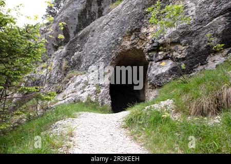 Fußweg zum Eingang zur Höhle im Jura-Gebirge. Schwarzes Loch in Gestein. Bergtunnel Wanderweg, Höhleneingang in dunklen Korridor, Gorges de Stockfoto