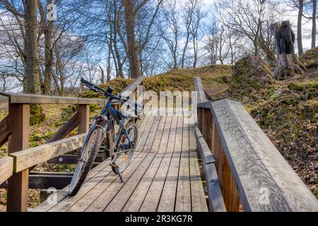 Burgruine Anhalt Selketal Harz Stockfoto