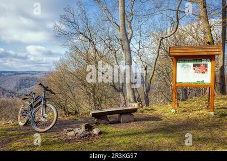 Burgruine Anhalt Selketal Harz Stockfoto