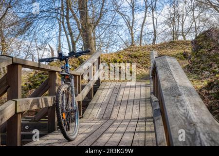 Burgruine Anhalt Selketal Harz Stockfoto