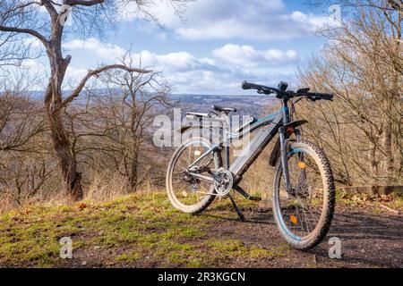 Burgruine Anhalt Selketal Harz Stockfoto