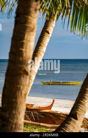 Siquijor Beach bei Sonnenuntergang, Palmen und Bangka Boote auf den philippinen Stockfoto