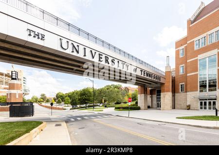 Der Campus der University of Tennessee befindet sich im Stadtzentrum von Knoxville, TN und wurde 1794 gegründet. Stockfoto