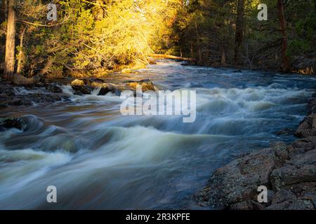 Die Quelle des Pine Creek fließt – in der Nähe von Eagle Lake/Spalding in Lassen County, Kalifornien, USA. Stockfoto