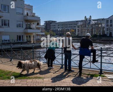 Neues Wohngebiet Am Tegeler Hafen, Berlin Stockfoto