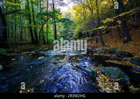 Herbstzauber auf einer Flusslandschaft in Lusatia - LÃ¶bauer Wasser 1 Stockfoto