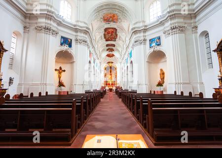 Würzburg, Deutschland - 11. Juli 2021: Neumünster Stiftskirche in der Würzburger Altstadt. Würzburg oder Würzburg ist eine Stadt in der Region Franken Stockfoto