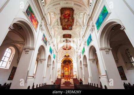 Würzburg, Deutschland - 11. Juli 2021: Neumünster Stiftskirche in der Würzburger Altstadt. Würzburg oder Würzburg ist eine Stadt in der Region Franken Stockfoto