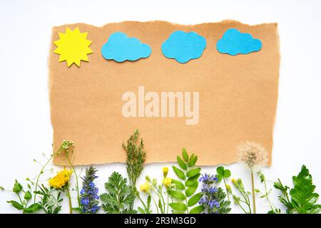 Kreative Zusammensetzung von Pflanzen und Blumen mit Papiersonne und Wolken auf weißem Hintergrund mit Kopierraum. Grußkarte, Einladungsmodell. Flach liegend, Stockfoto