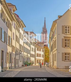 Basler Altstadt mit Dom, Schweiz Stockfoto