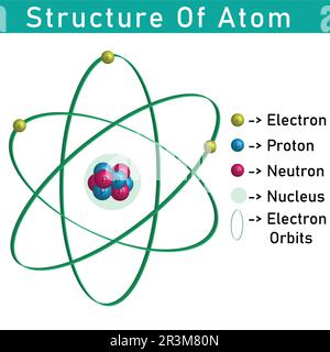 3D-Struktur des Atoms, die Nukleus, Proton, Neutron und Elektronen zeigt Stock Vektor