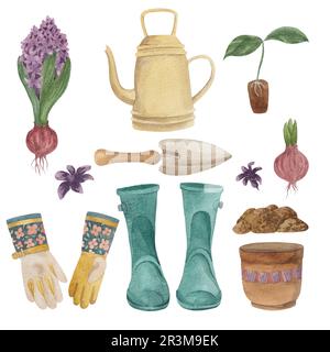 Gartengeräte, Frühlingsarbeiten im Garten. Pflanzensprossen, Hyazinthen, Zwiebeln. In Aquarell auf weißem Hintergrund gemalt Stockfoto