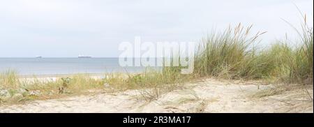 Strand in der Nähe von Swinoujscie auf der Insel Usedom an der polnischen Ostseeküste Stockfoto