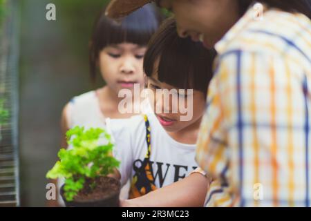 Süßes Mädchen, das ihrer Mutter hilft, sich um die Pflanzen zu kümmern. Mutter lehrt Tochter, wie man im Gewächshaus Pflanzen in Töpfen anbaut. Kleines Familienunternehmen. Stockfoto