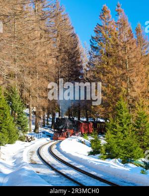 Dampfeisenbahn im Winter im Schnee in der Harz Deutschland Brocken Bahn Stockfoto