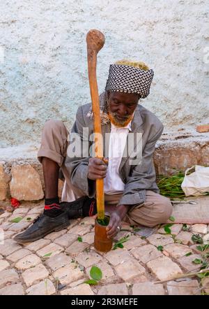 Ein alter Mann ohne Zähne, der auf der Straße kaut, Harari, Harar, Äthiopien Stockfoto