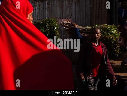 Äthiopischer Mann mit Khat auf einem Markt, Harari Region, Awaday, Äthiopien Stockfoto