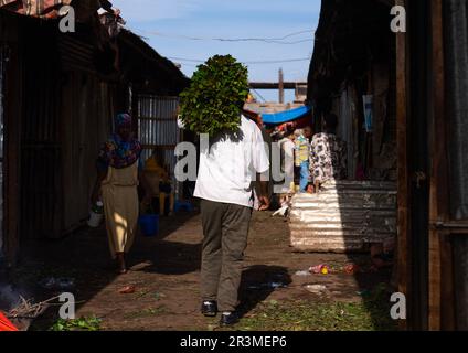 Äthiopischer Mann mit Khat auf einem Markt, Harari Region, Awaday, Äthiopien Stockfoto