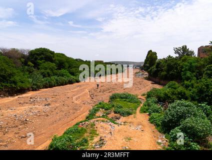 Trockener Fluss Dechatu, dire Dawa Region, dire Dawa, Äthiopien Stockfoto