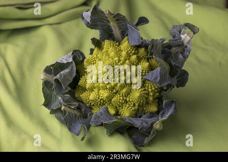 Nahaufnahme von rohem romanesco auf Grün Stockfoto