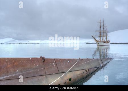 Segeln mit Bark Europa auf einer Antarktis-Kreuzfahrt Stockfoto