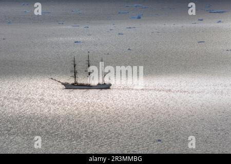 Segeln mit Bark Europa auf einer Antarktis-Kreuzfahrt Stockfoto