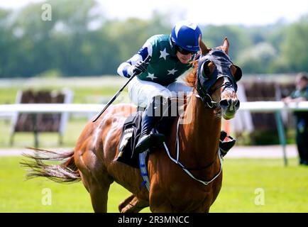 Pak Army geritten von Jockey Bradley Roberts auf dem Weg, die Handicap-Hürde der Neulinge von Logicor Warwickshire auf der Warwick Racecourse zu gewinnen. Bilddatum: Mittwoch, 24. Mai 2023. Stockfoto