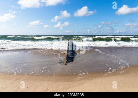 Sandstrand mit Uferwasser und hölzernem Wellenbrecher, Foto der Ostseeküstenlandschaft an einem sonnigen Sommertag. Zelenogradsk, Oblast Kaliningrad, Ru Stockfoto