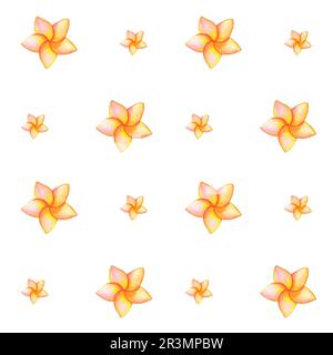 Nahtloses Blumenmuster mit tropischer Blütenplumeria auf weißem Hintergrund. Handgezeichnete Aquarelldarstellung Stockfoto
