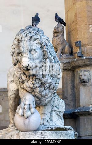 Florenzer Löwenstatue mit einem Vogel auf dem Kopf, hergestellt von Vacca 1598, an der Loggia dei Lanzi, Italien Stockfoto