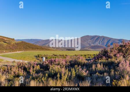 Galicien-Landschaft auf dem Weg von St. James Stockfoto