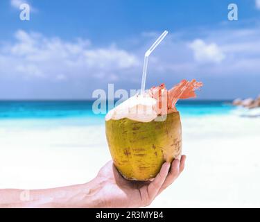 Kokosnuss an einem weißen tropischen Strand auf den Seychellen, Kokosnuss trinken in Männerhand Stockfoto