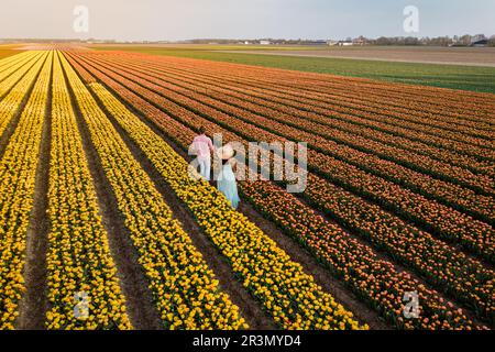 Draufsicht von oben auf ein paar Männer und Frauen im Tulpenfeld in den Niederlanden Stockfoto