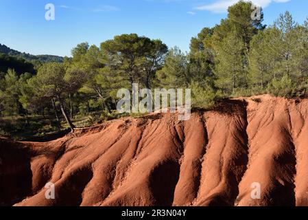 Erodierte Ochre-Ton-Felsformationen im Canyon des Terres Rouges im Südosten des Mont Sainte Victoire bei Aix-en-Provence Provence Stockfoto
