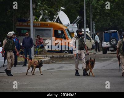 Srinagar, Indien. 24. Mai 2023. Paramilitärische Soldaten patrouillieren zusammen mit Spürhunden auf einem neu renovierten Markt vor einem Besuch von G20 Delegierten in Srinagar, von den Indianern kontrolliertes Kaschmir, Mittwoch, 24. Mai 2023. Delegierte der Gruppe der 20 führenden reichen Länder und Entwicklungsländer sind in indisch kontrolliertem Kaschmir zu einem Treffen über Tourismus, das am Montag begann. (Foto von Mubashir Hassan/Pacific Press) Kredit: Pacific Press Media Production Corp./Alamy Live News Stockfoto